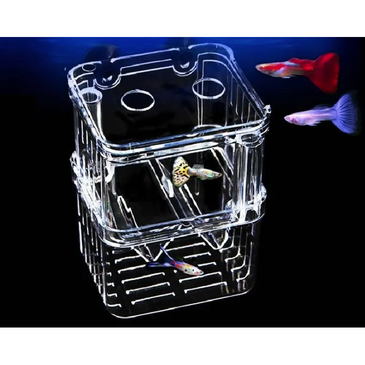 Maternitate pesti vivipari cu separator in V marime S - imagine 5